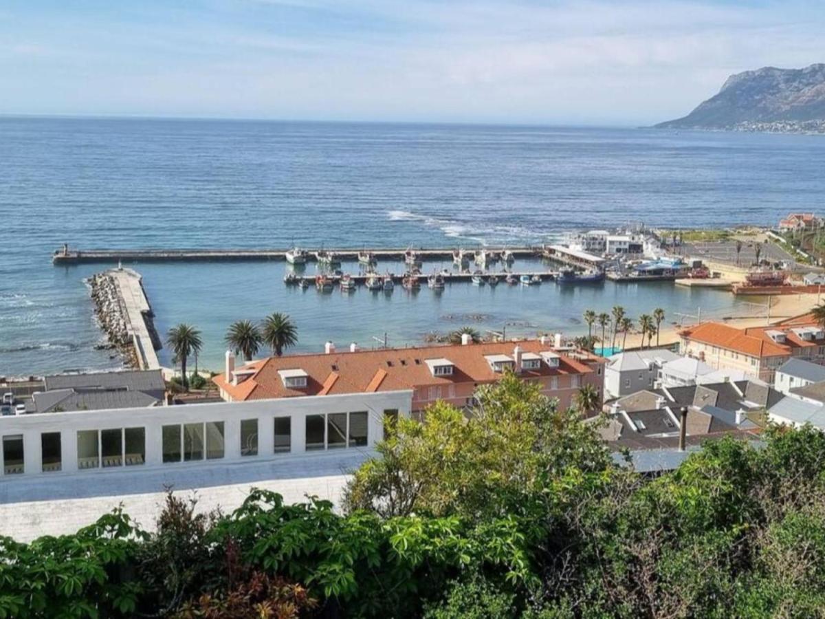 The Dragon Tree Guesthouse Kalk Bay Bagian luar foto