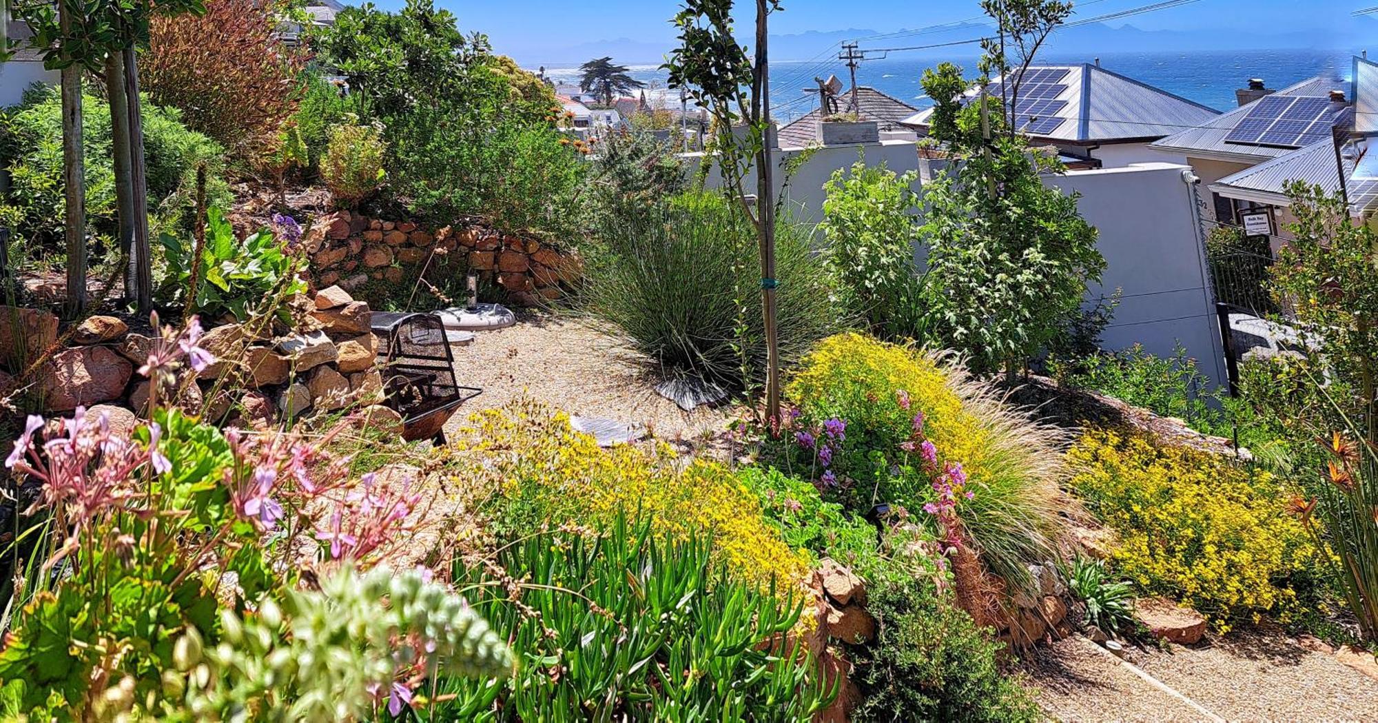 The Dragon Tree Guesthouse Kalk Bay Bagian luar foto