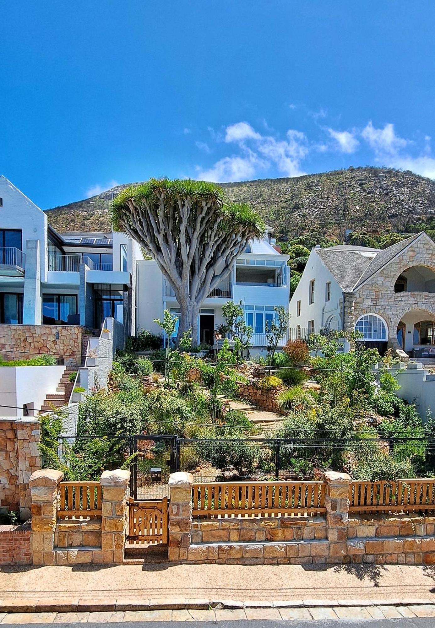 The Dragon Tree Guesthouse Kalk Bay Bagian luar foto