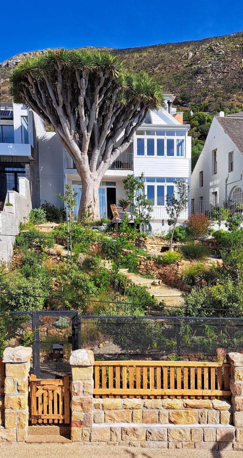 The Dragon Tree Guesthouse Kalk Bay Bagian luar foto